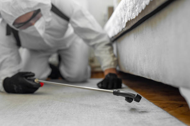 Professional Cockroach Control technician working in Oak Park Heights, MN