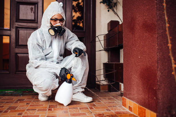 Reliable Cockroach Control contractor in Oak Park Heights, MN by Nex Pest Control